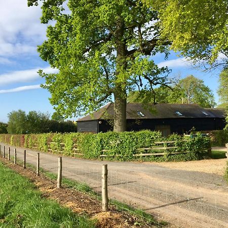 Mulberry Barn Panzió Micheldever Kültér fotó